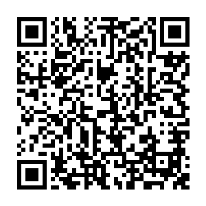 这根黄金灵参的年份或许比不上当年从霍华须臾带中寻来的那根黄金灵参二维码生成