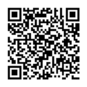 这模样活像是当年二人为了燕家那门亲事争执的时候二维码生成