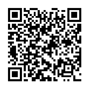 这次他们过来很可能也是来找你或者找你儿子做伴侣的二维码生成