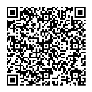 这次其他几家的人之所以会全都离开的最主要原因便是因为吴虎臣以一人之力镇压住了其他几家的联盟二维码生成