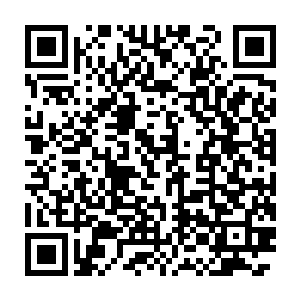 这次又联合凤沉鱼帮着沈万良做内应引凤羽珩和姚氏的视线都脱离子睿二维码生成