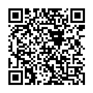 这次就安排江帆和梅皮岩比赛就算是节目表演的一部分二维码生成