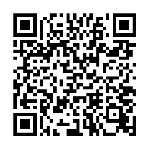这次我i饿了确保万无一失我们就请撒旦之手的人来行动吧二维码生成