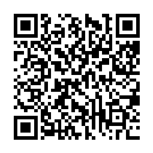这次或许能从这个戈沉口中打探出不少墨族的消息二维码生成