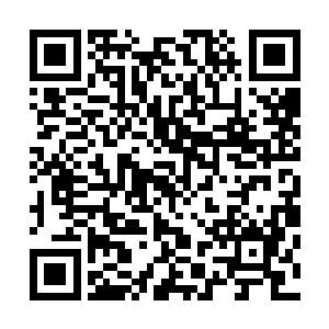 这次武器失窃事件在一连串无懈可击的假象之中被彻底掩盖二维码生成