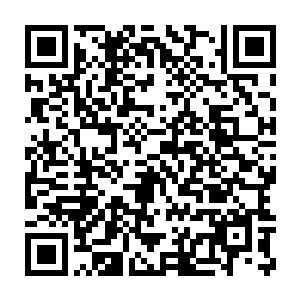 这次演唱会的劲爆新闻点会在唯一的一名外请男嘉宾李敏进出场的时候二维码生成