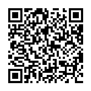 这次电鳗兽主发动袭击的海洋位置距离海胆兽主有一万余里二维码生成