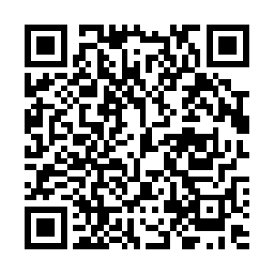 这次的佣兵盛会我们天琴家族也要派出几名嫡系成员过去二维码生成