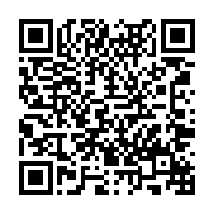 这次的武帝洞府如果咱们还找不到增加寿命的丹药二维码生成