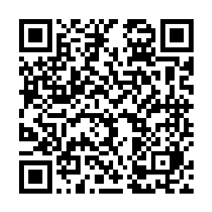 这次的行动目标确实只是那两个以人族为主聚居的行省二维码生成