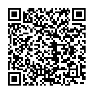 这次的进攻和清剿则加入了一支较有战斗力的印尼反抗军改编而来的新部队二维码生成