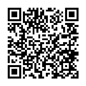 这次竟然又和另外一个不输叶叮当的美女漫步在校园内二维码生成