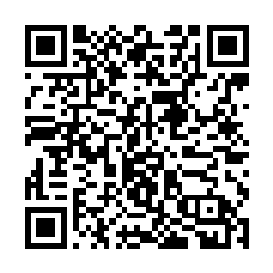 这次算是临山镇的领导干部聚集的比较齐全的一次了二维码生成