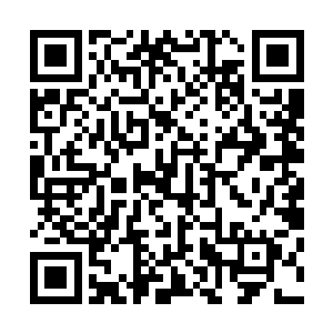 这次蔡部长提议由你来担任代表团的团长背负了很大的压力二维码生成