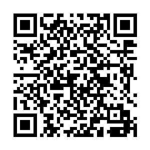 这次让他们清楚地认识到唐铮远比他们预料的更加厉害二维码生成