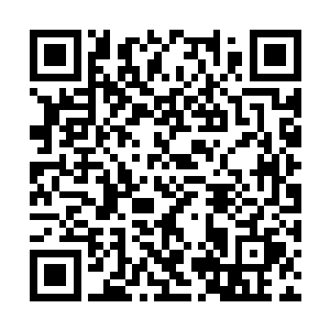 这次训练他们都是按照一百公里的测试要求新生的二维码生成