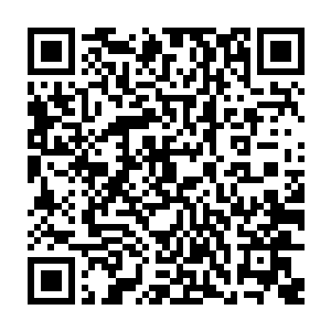 这款哨兵i型机甲是零城防御委员会在去年刚刚研发出来的新款军事化战斗机甲二维码生成