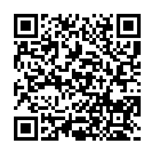 这款如此牛x的编程软件究竟又蕴含了什么了不得的技术呢二维码生成