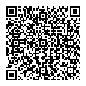 这款微型卫星如果真能做到像王世子说的那样在太空中直接对地面上的电子设备进行有效精确干扰二维码生成