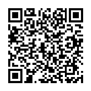 这段时间我一直在钻研司马前辈留下来的各种古籍经书二维码生成