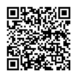 这段时间沈丽缇的表现却让夏云杰感受到了一股前所未有的温馨二维码生成