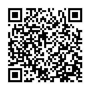 这片看似毫无生气的石林就变成了荒原生物的乐园二维码生成