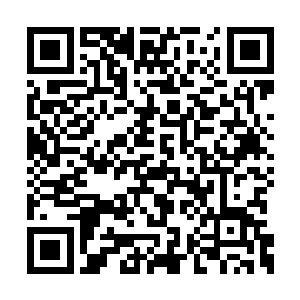 这番动静毫无疑问的引起了大厅里不少人的注意二维码生成