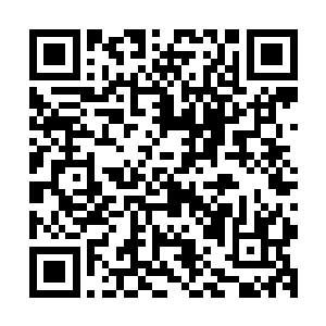 这番理论与前世器官移植后发生的排斥现象的解释多么想象啊二维码生成