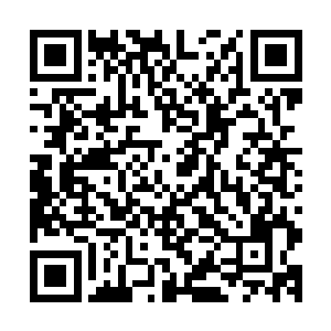 这百骨老魔的脊椎骨显然是被他炼化成了一件极为强大的法宝二维码生成