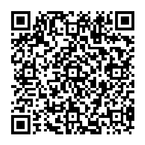 这种不敢绝对不是因为陆为民曾经是前任地委书记秘书或者在地区和省里有背景人脉二维码生成