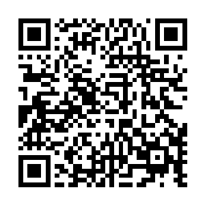 这种人治型的企业管理模式其实的确挺适合整个星空集团的二维码生成
