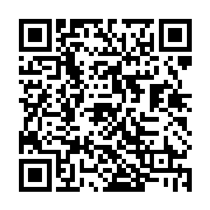 这种人身上真心是除了器官以外没什么可挖掘的价值了二维码生成