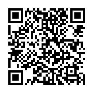 这种伪仙人如同俗世市井之徒打架的场面别说在大比当中了二维码生成