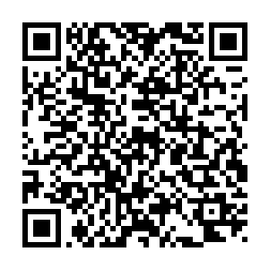 这种元素和你上次送过来的样品中的一种元素有百分之九十九的相似度二维码生成