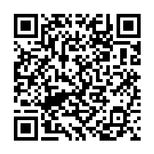 这种情况杨晨他们自从离开宗门之中也是第一次见到二维码生成