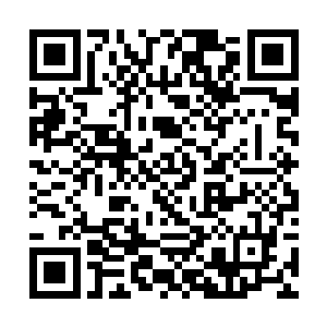 这种海洋里唯一的霸主也没有继续存在下去的必要了二维码生成