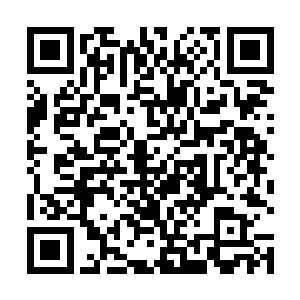 这种生物和芯片里面的一本资料上记载的警戒石板很像二维码生成
