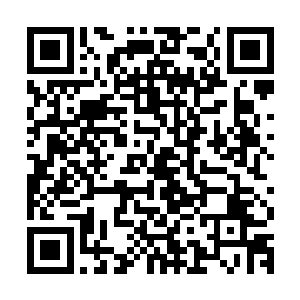 这种碎尸万段的手段让这些人不禁的感觉到一种不寒而栗的感觉二维码生成