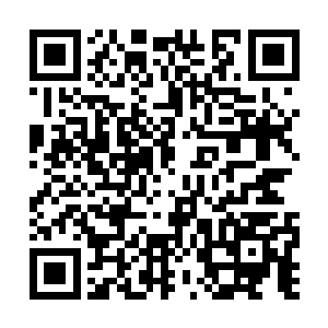 这种虚境强者间的战斗给予他的震撼实在是太大了二维码生成