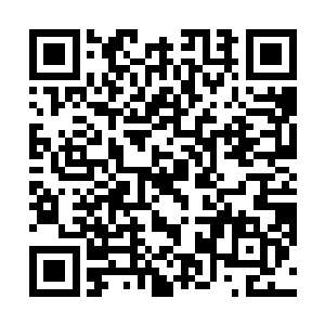 这种观念就决定了你无法真正成为一个合格的领导干部二维码生成