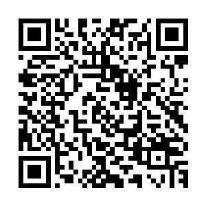 这种轻松而活泼的气氛如同月光一般没有任何阻碍地倾斜了下来二维码生成