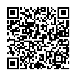 这秘宝可以将你我二人的神魂烙印和生命痕迹联系在一起二维码生成