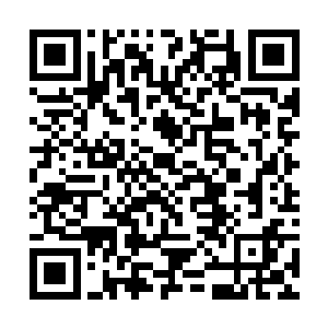 这突如其来的打击就算他们经过严格训练也乱成一团二维码生成