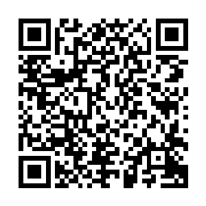 这第一件拍卖的物品……渍渍……沈某差点想自己内部消化了二维码生成