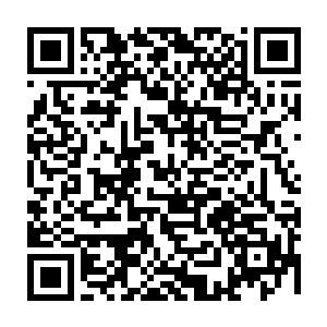 这简直就可以说是祸从天降――他是被从十几楼高掉下来的一个花盆砸中的二维码生成