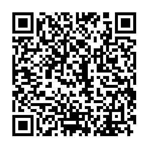 这简直是……赤果果的色诱啊……可是像我也是长在红旗下的童鞋二维码生成