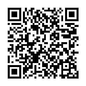 这绝对是任何一个之前投入华夏顶研的大佬都无法承受之重二维码生成