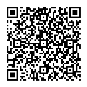 这自然界之中居然有生物也具备这样特殊的能力……甚至比一般的魅惑功法还要厉害的多了二维码生成