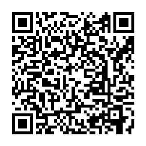 这节目组不是不允许出现死人的吗……在岛上放那么致命的动物是闹哪样啊二维码生成