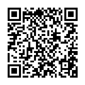 这节蟠桃老根制成的无上法杖因后羿血肉滋养而重新生根发芽二维码生成